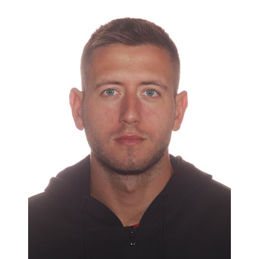 Nikola Mitro